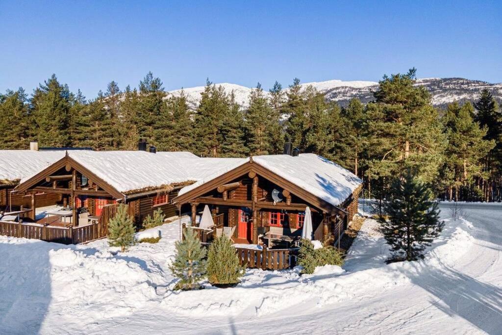 100M Lift, 2 Min Swim - Large Family Cabin Vradal Extérieur photo